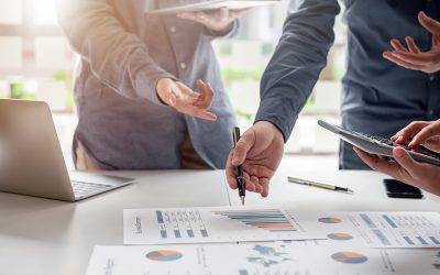 Markt- und Unternehmensanalyse für strategischen Investor